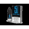 5EL - Berry Mint - Nikotinsalz Liquid