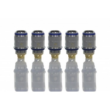 Innocigs Joyetech Ersatzverdampfer Evic-VT CL-NI Heads 0,2Ohm (5er Pack)