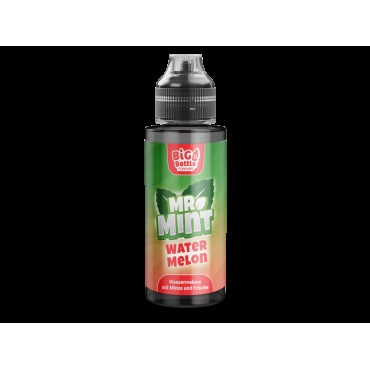 Mr. Mint by Big Bottle - Longfills 10 ml - Watermelon